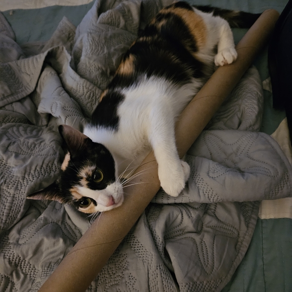 Shipping Label - Picture 3 of 3